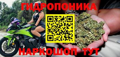 наркотики Новодвинск